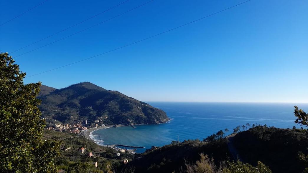 La Calla Rossa Levanto Kültér fotó